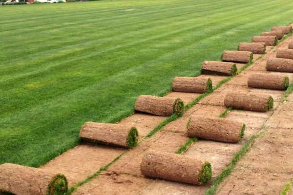 Jardineros en Pamplona y Navarra servicio de instalación de césped de tepes y siembra